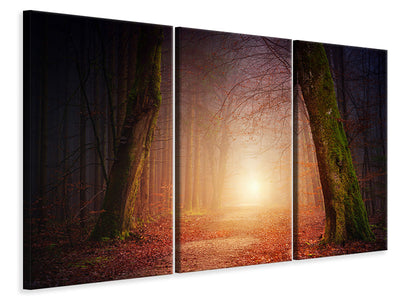 3-piece-canvas-print-autumn-in-the-woods