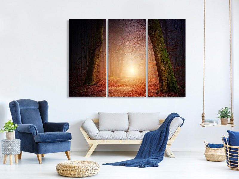 3-piece-canvas-print-autumn-in-the-woods