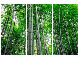 3-piece-canvas-print-bamboo-forest