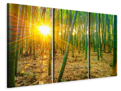 3-piece-canvas-print-bamboos