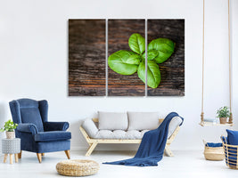 3-piece-canvas-print-basil-leaf-in-xxl