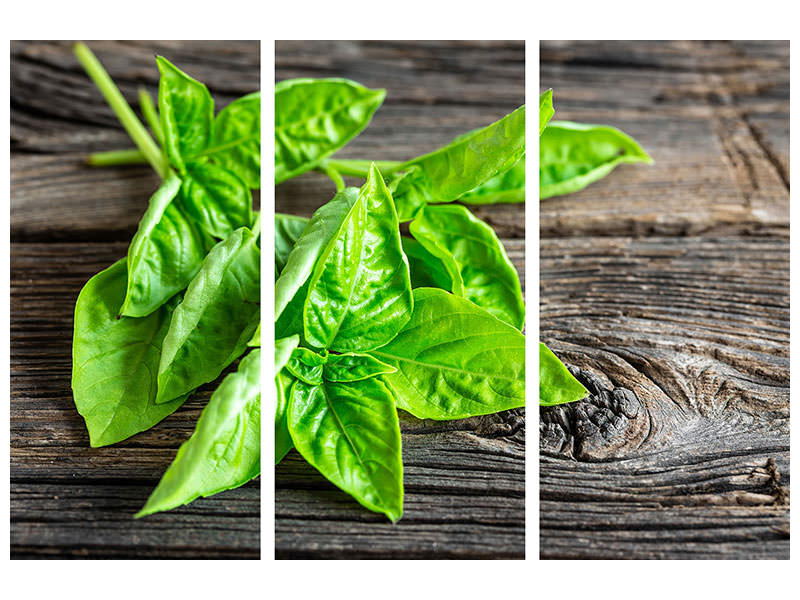 3-piece-canvas-print-basil-leaves-ii