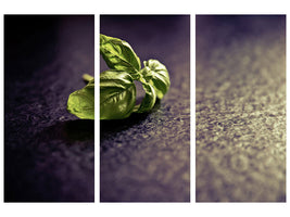 3-piece-canvas-print-basil-leaves