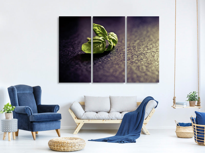 3-piece-canvas-print-basil-leaves