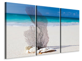 3-piece-canvas-print-beach-art