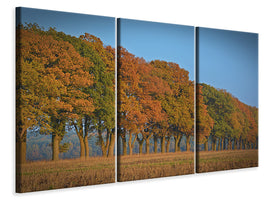 3-piece-canvas-print-beautiful-autumn