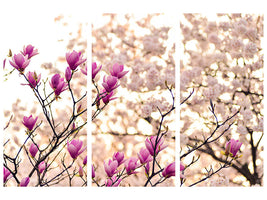 3-piece-canvas-print-beautiful-magnolia-xl