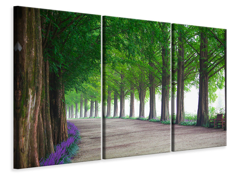 3-piece-canvas-print-beautiful-tree-avenue