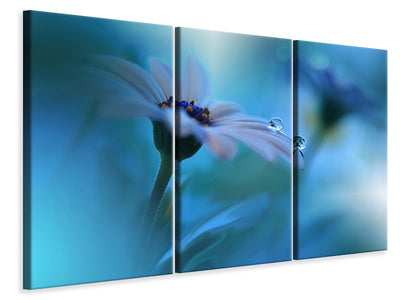 3-piece-canvas-print-beyond-the-visible