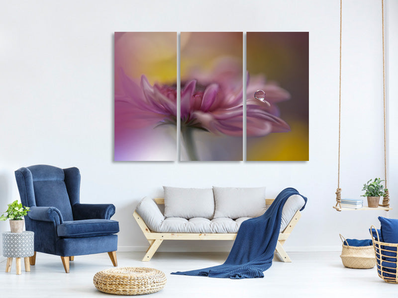 3-piece-canvas-print-beyond-words