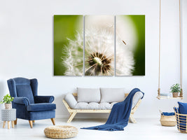 3-piece-canvas-print-blowball-dandelion