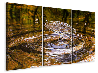 3-piece-canvas-print-blubb