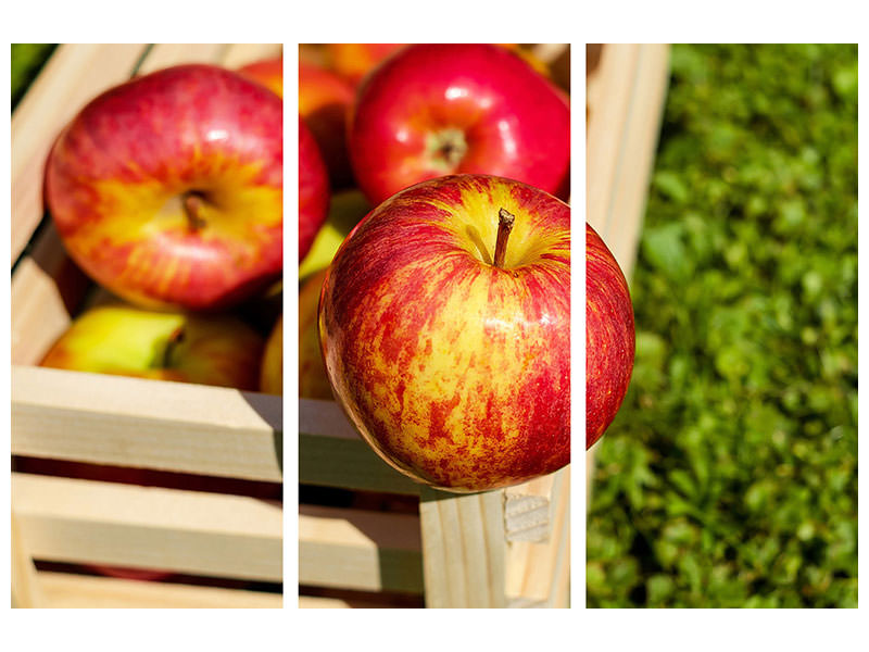 3-piece-canvas-print-box-of-apples