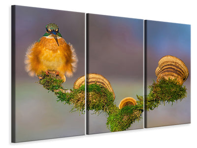 3-piece-canvas-print-buhtlin