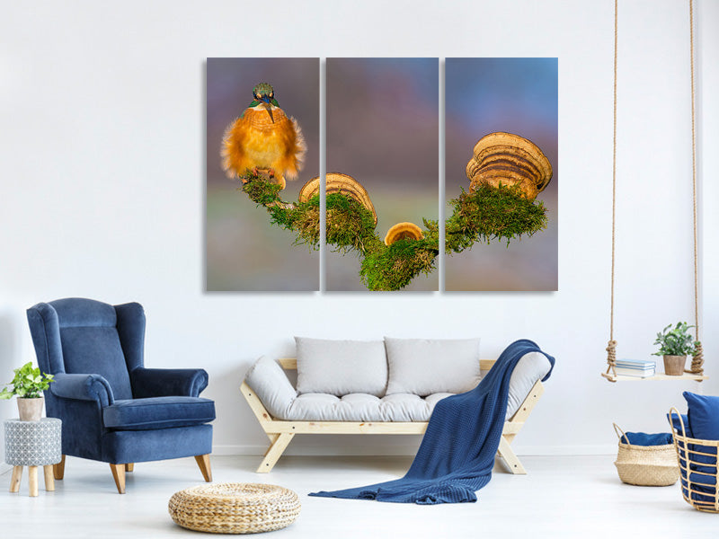 3-piece-canvas-print-buhtlin