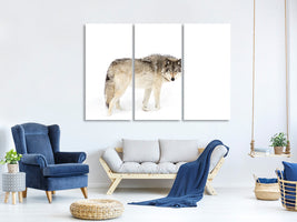 3-piece-canvas-print-canadian-timber-wolf-walking-through-the-snow