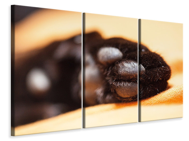 3-piece-canvas-print-cat39s-paw