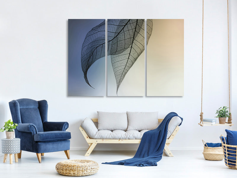 3-piece-canvas-print-cavatina