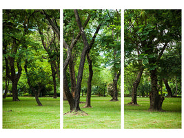 3-piece-canvas-print-cherry-garden