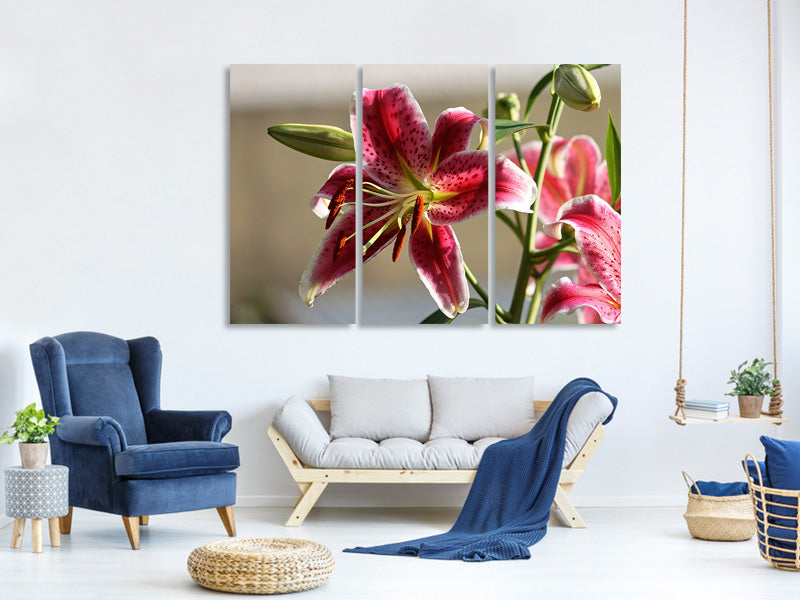 3-piece-canvas-print-close-up-lily-in-red