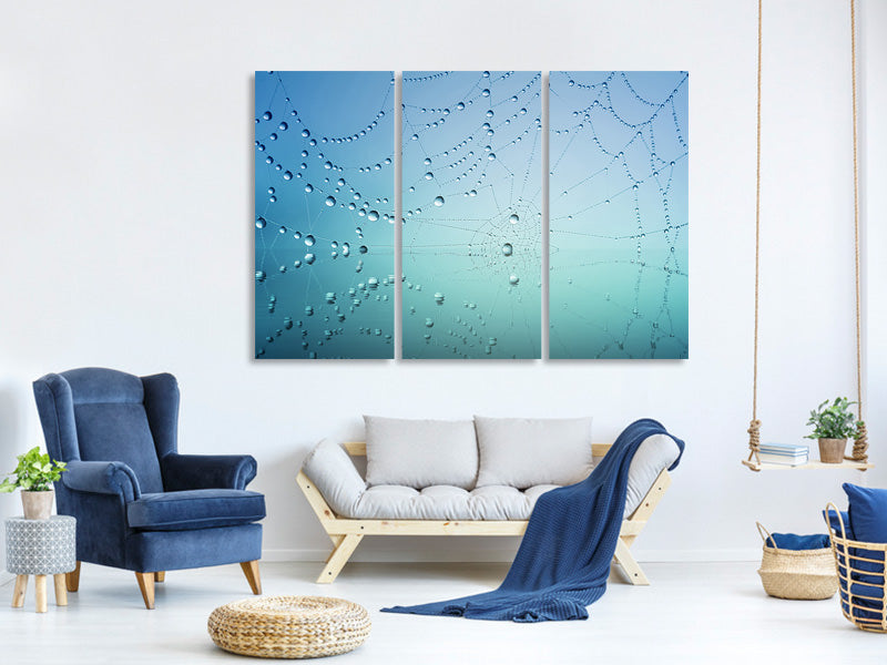 3-piece-canvas-print-cobweb-in-morning-dew