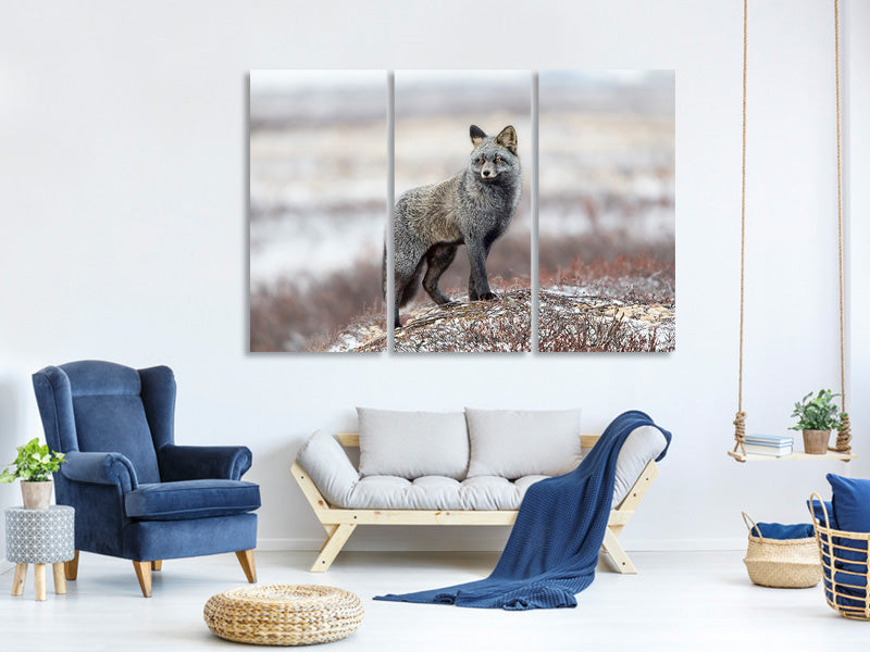 3-piece-canvas-print-cross-fox