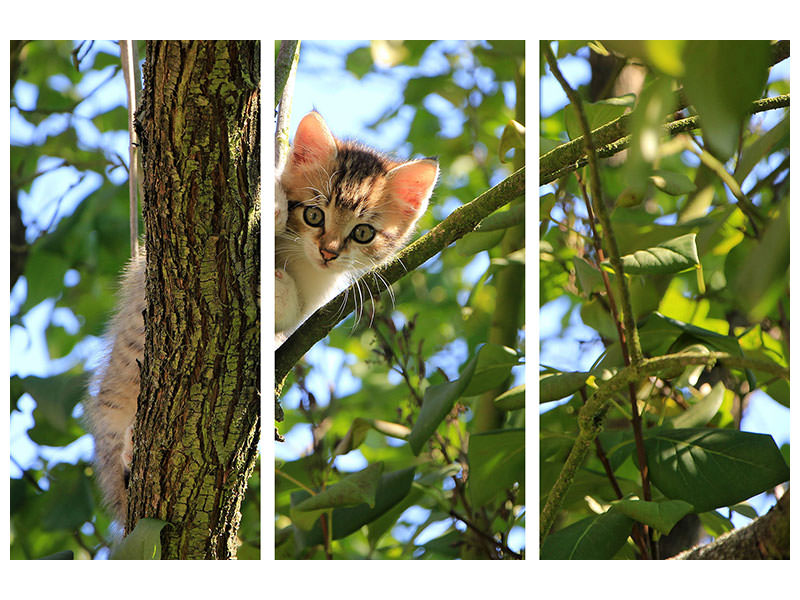 3-piece-canvas-print-cute-cat-child