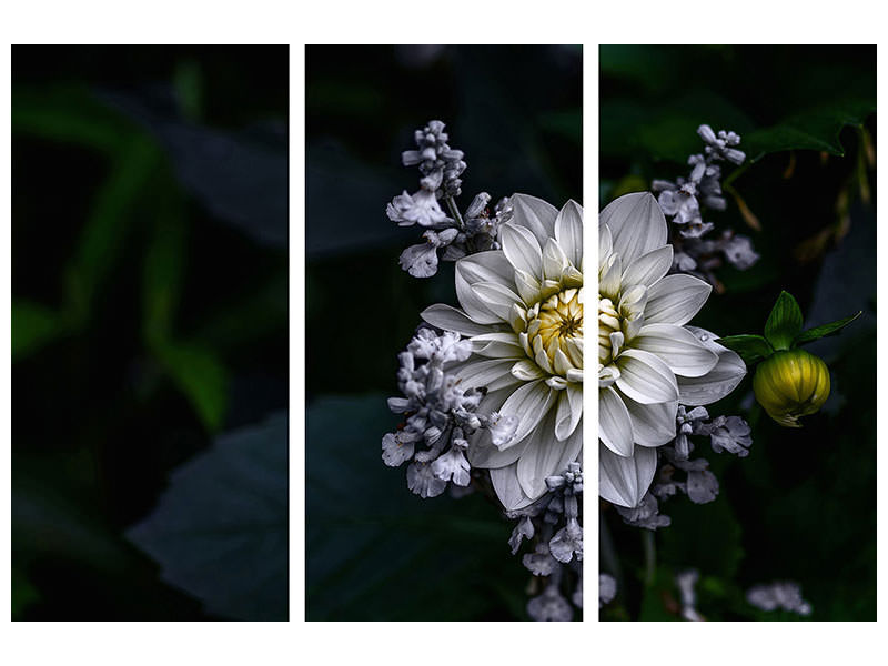 3-piece-canvas-print-dahlia-flower