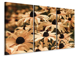 3-piece-canvas-print-daisies-in-sepia