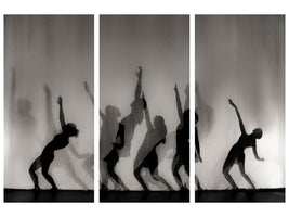 3-piece-canvas-print-dance-is-the-language-of-the-soul