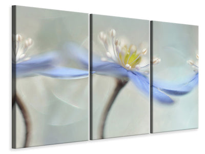 3-piece-canvas-print-dancing-anemones