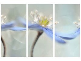 3-piece-canvas-print-dancing-anemones