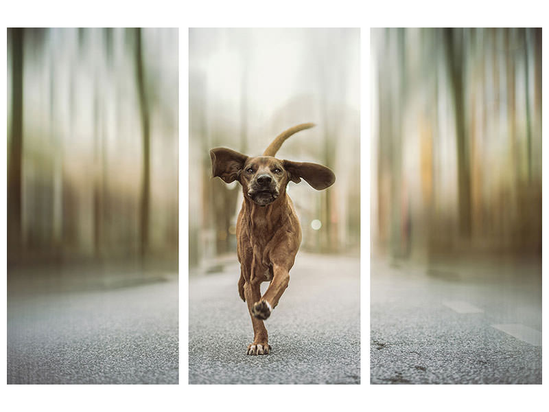 3-piece-canvas-print-dancing-in-the-streets