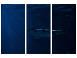 3-piece-canvas-print-dangerous-shark