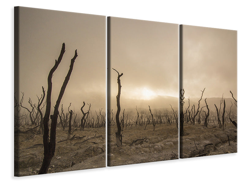 3-piece-canvas-print-dead-land