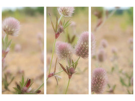 3-piece-canvas-print-delicate-flowers