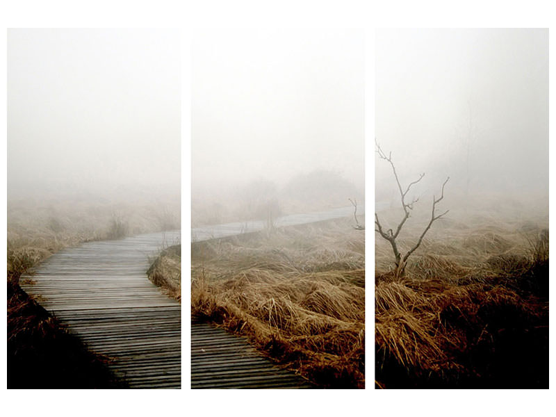 3-piece-canvas-print-dense-fog