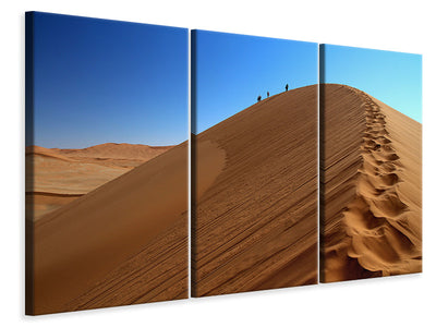 3-piece-canvas-print-desert-hike-in-namibia