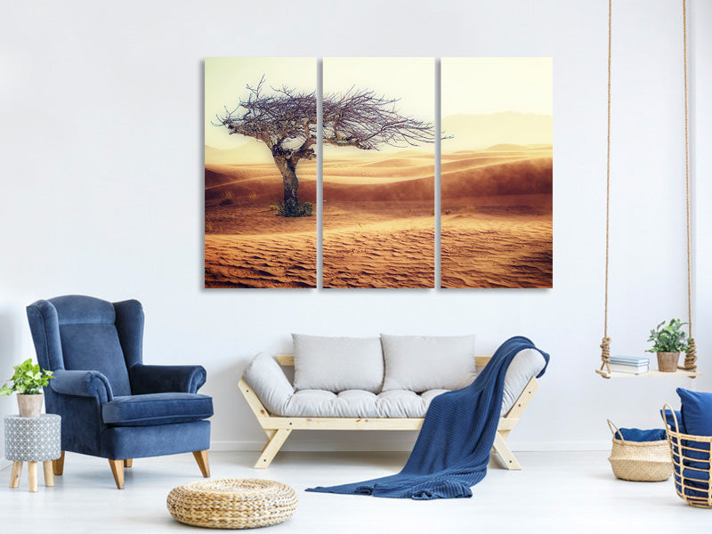 3-piece-canvas-print-desert-storm