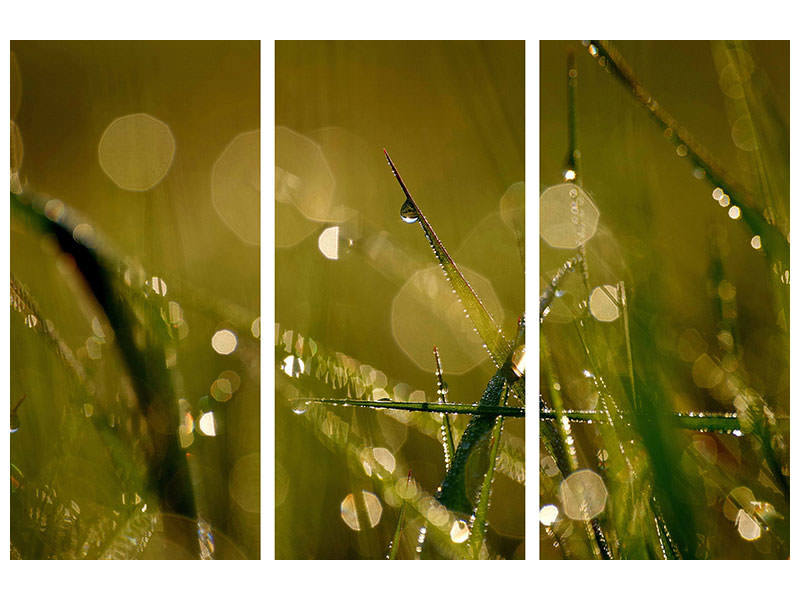 3-piece-canvas-print-dew-in-the-morning