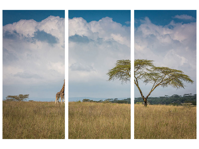 3-piece-canvas-print-east-africa