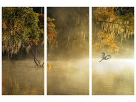 3-piece-canvas-print-egret