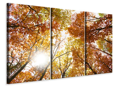 3-piece-canvas-print-enlightened-autumn-trees