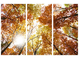 3-piece-canvas-print-enlightened-autumn-trees