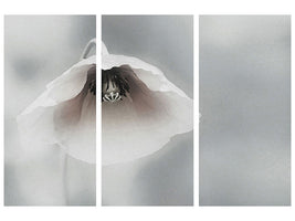 3-piece-canvas-print-ephemeral-beauty-ii