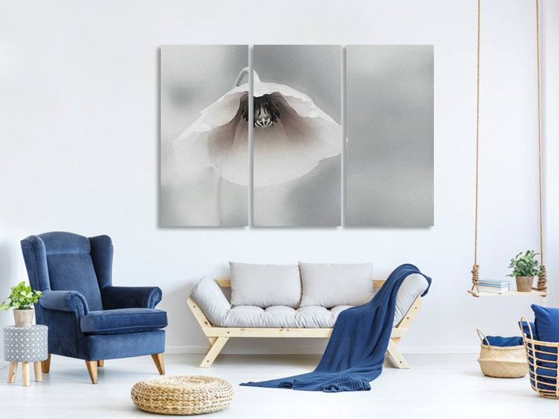 3-piece-canvas-print-ephemeral-beauty-ii