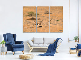 3-piece-canvas-print-family-paradise