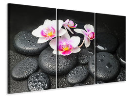 3-piece-canvas-print-feng-shui-orchid-zen