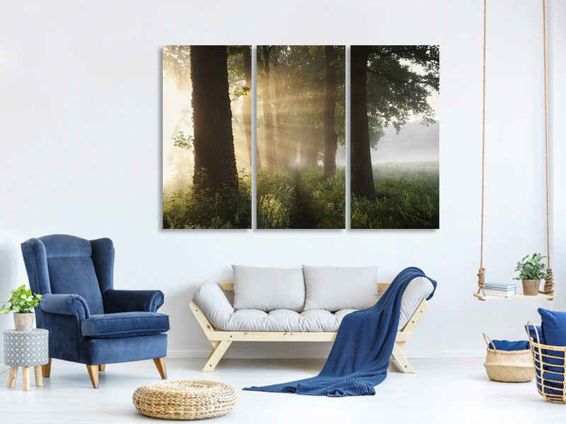 3-piece-canvas-print-first-day-of-summer