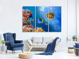 3-piece-canvas-print-fish-in-the-water